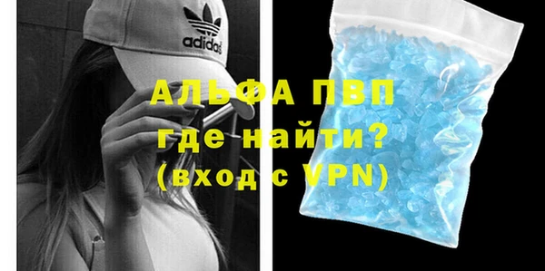 гидра Богородск