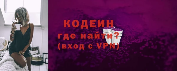 гидра Богородск