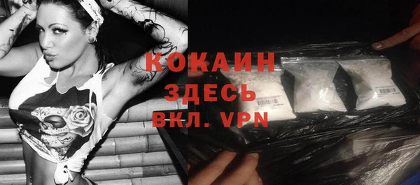гидра Богородск