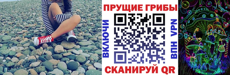 закладка Донецк Псилоцибиновые грибы Cubensis